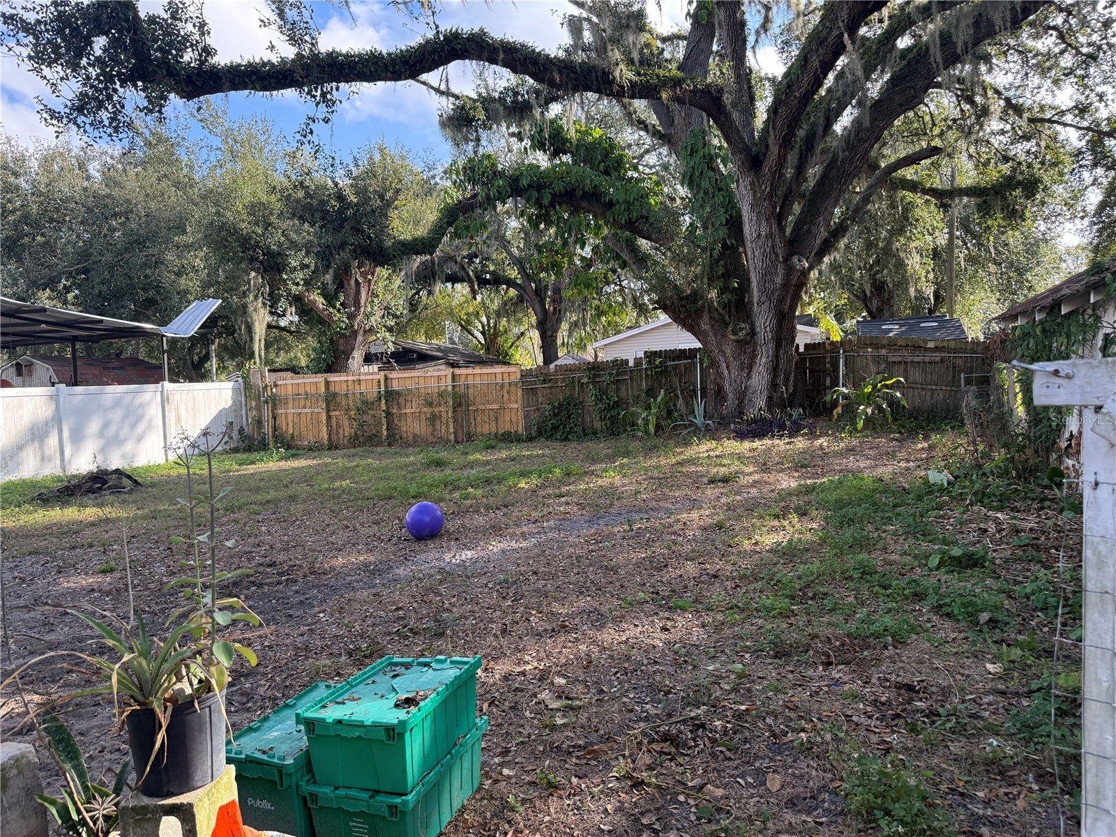 2703 Moody Avenue Plant City FL 33563 TB8461195 image4