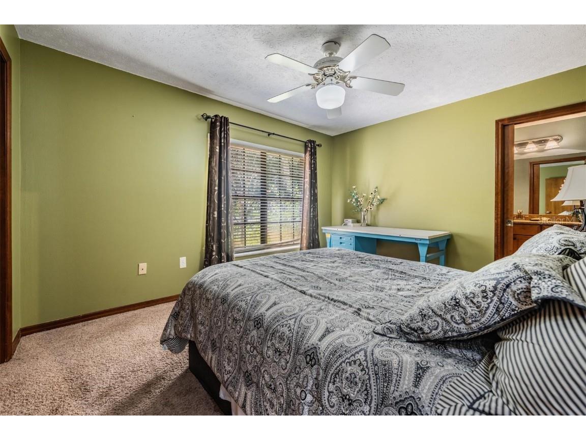 2703 Pemberton Creek Drive Seffner FL 33584 TB8440679 image38