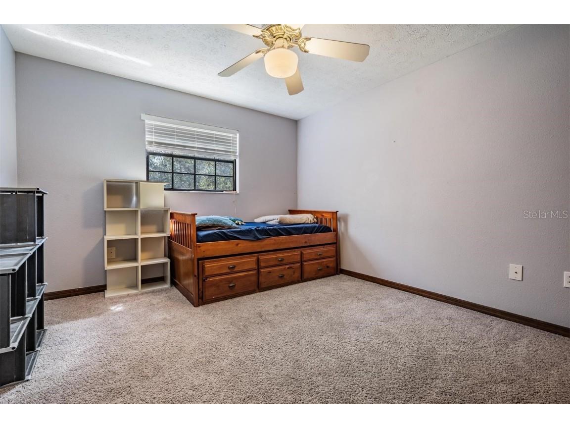 2703 Pemberton Creek Drive Seffner FL 33584 TB8440679 image49