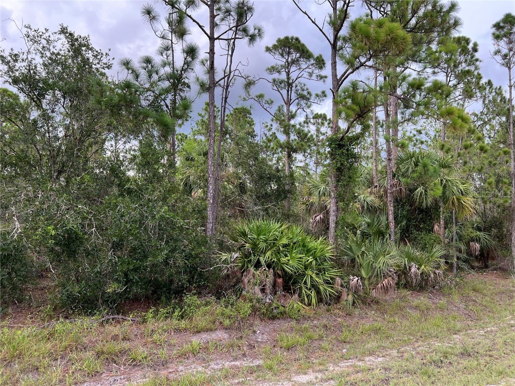 27032 Badger Drive Punta Gorda FL 33955 C7478685 image1