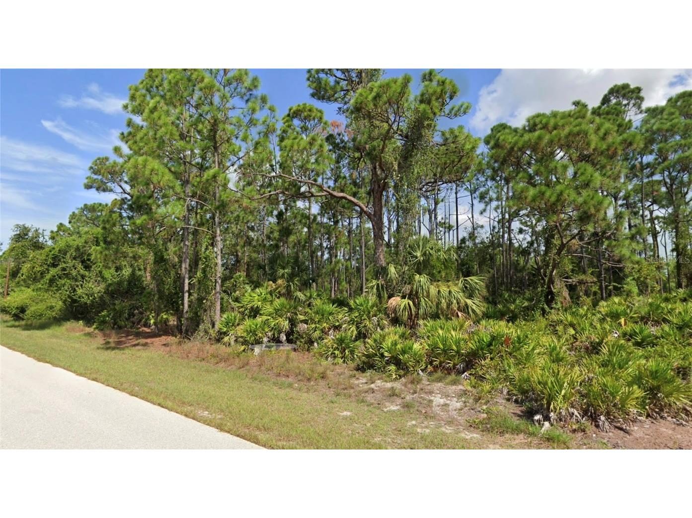 27034 Pasadena Drive Punta Gorda FL 33955 O6305564 image1