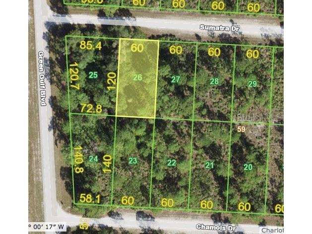 27035 Sumatra Drive Punta Gorda FL 33955 S5050865 image1