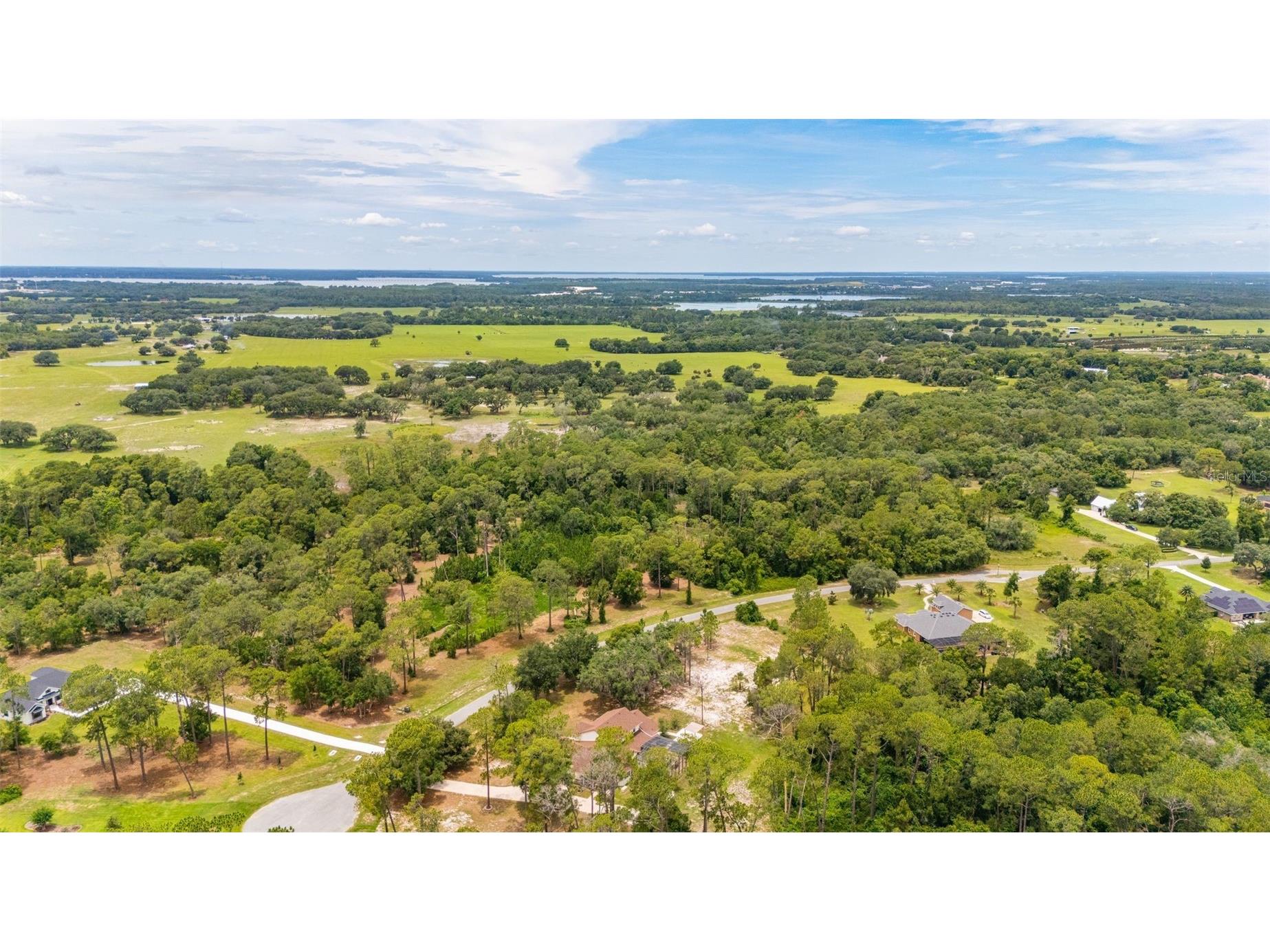 27037 Grand Oak Lane Tavares FL 32778 - HARRIS CHAIN OF LAKES O6414781 image10