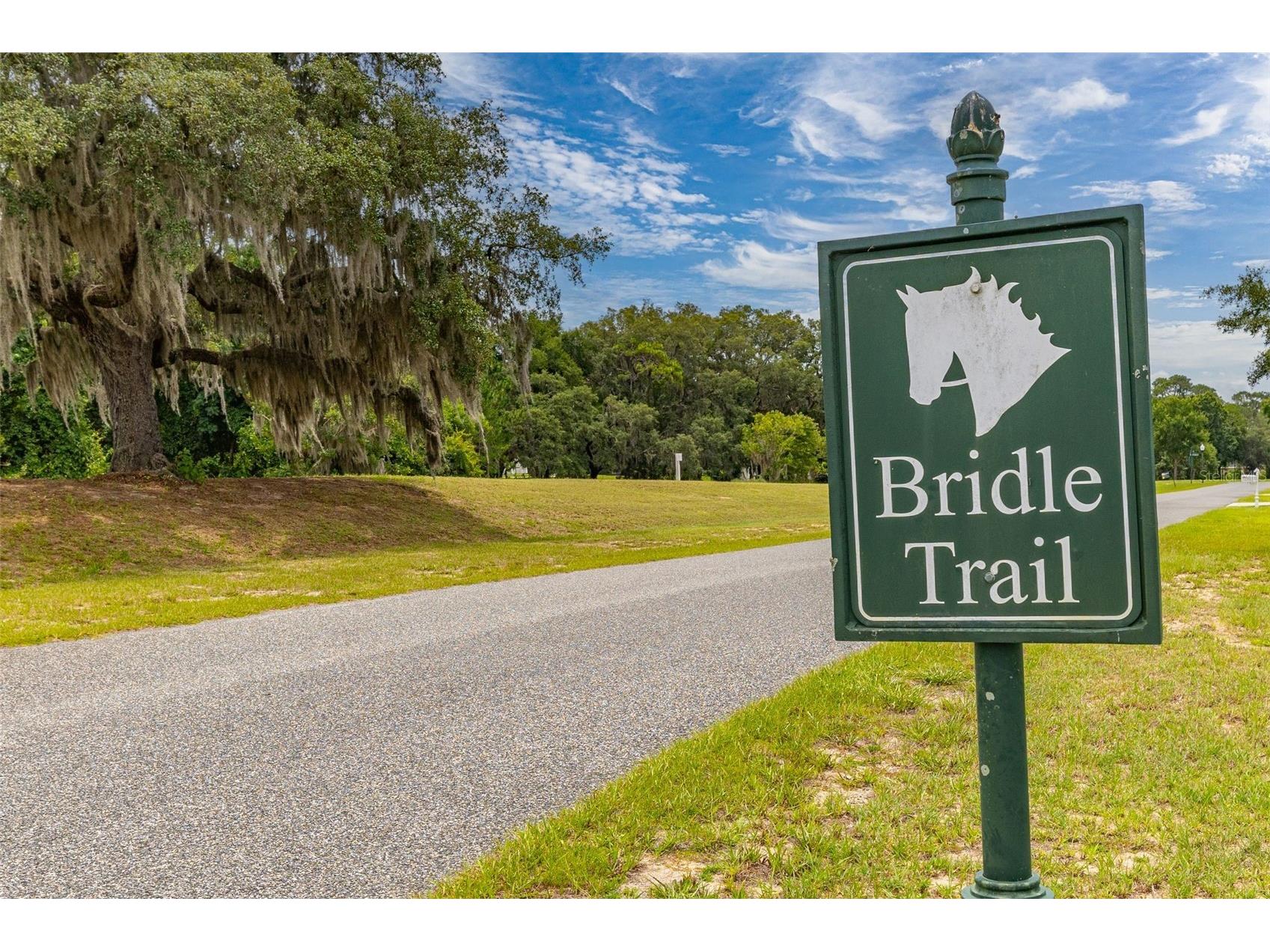 27037 Grand Oak Lane Tavares FL 32778 - HARRIS CHAIN OF LAKES O6414781 image11