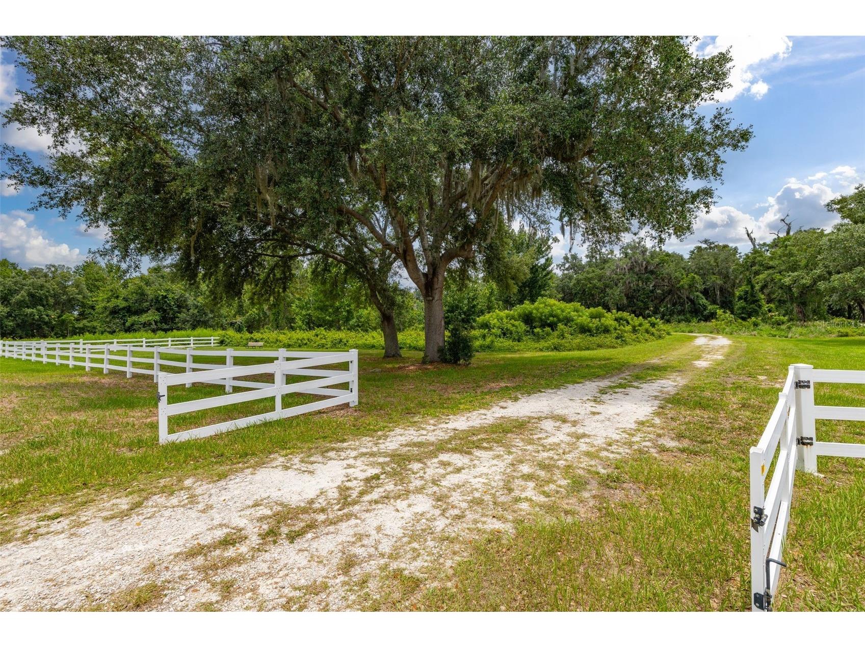 27037 Grand Oak Lane Tavares FL 32778 - HARRIS CHAIN OF LAKES O6414781 image13