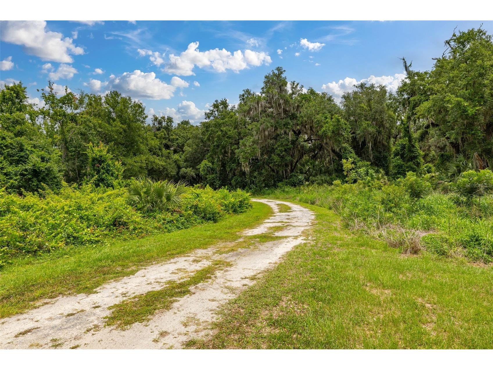 27037 Grand Oak Lane Tavares FL 32778 - HARRIS CHAIN OF LAKES O6414781 image14