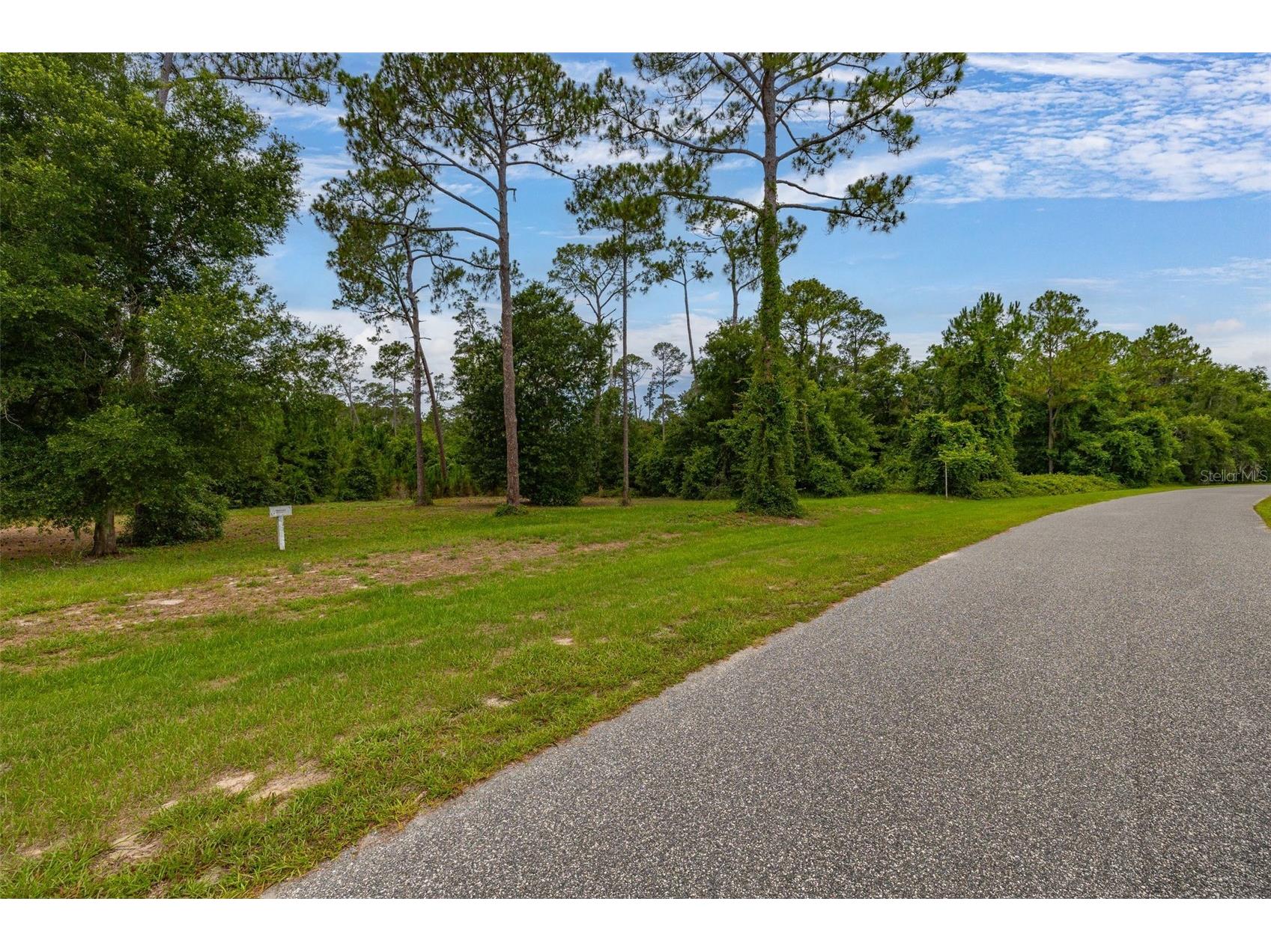 27037 Grand Oak Lane Tavares FL 32778 - HARRIS CHAIN OF LAKES O6414781 image5