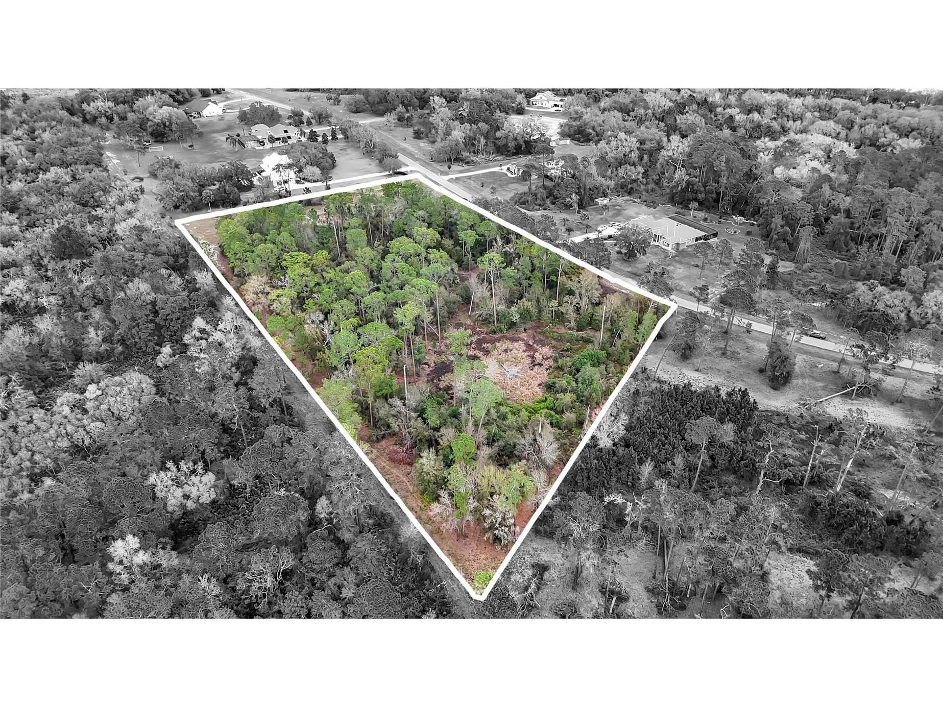 27037 Grand Oak Lane Tavares FL 32778 - LAKE HARRIS OM695670 image1