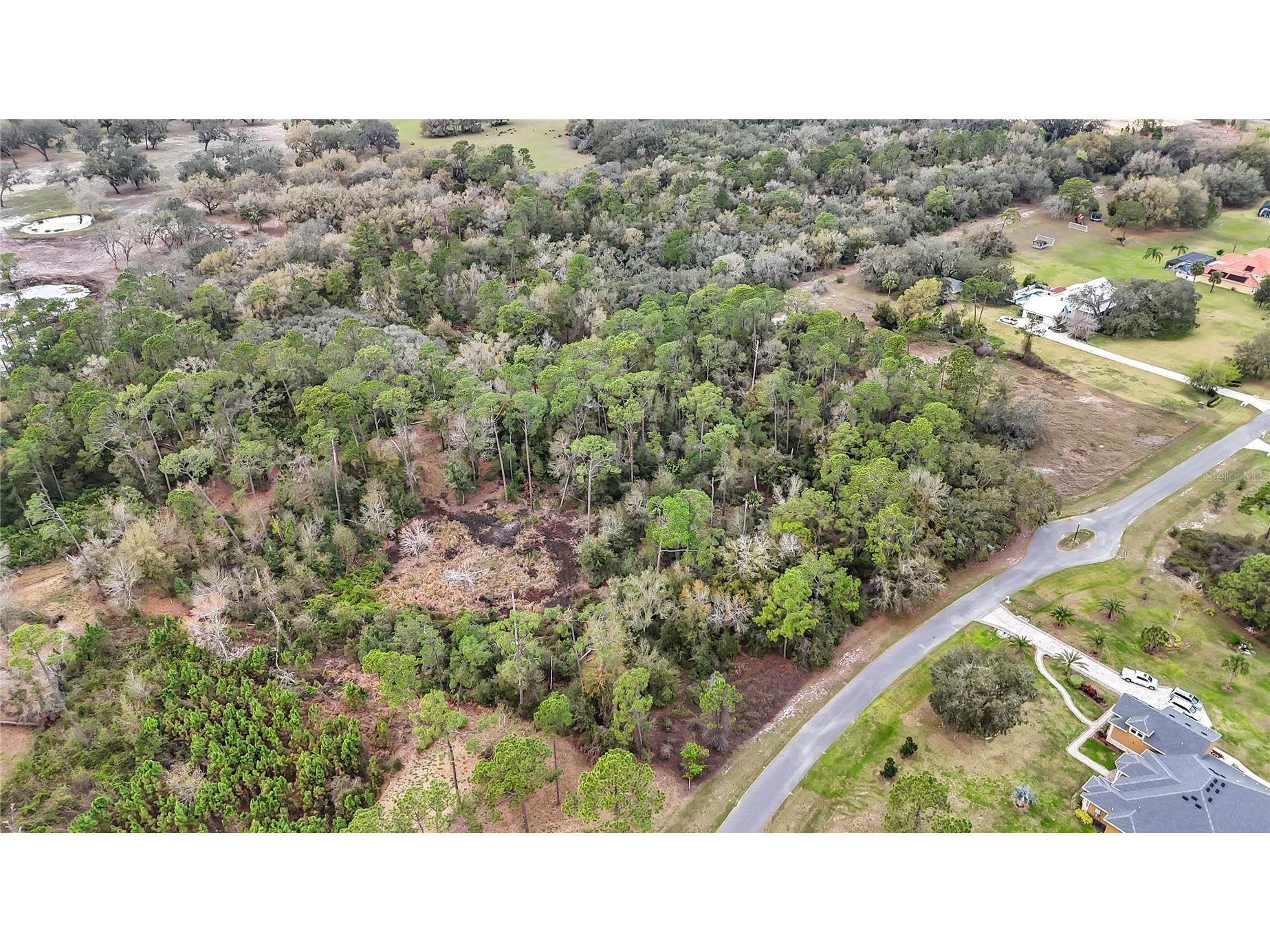 27037 Grand Oak Lane Tavares FL 32778 - LAKE HARRIS OM695670 image5