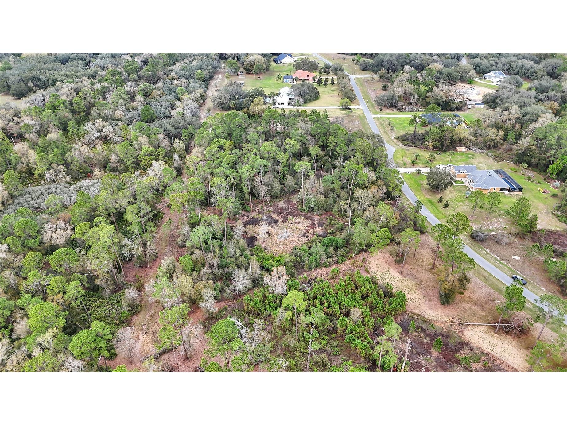 27037 Grand Oak Lane Tavares FL 32778 - LAKE HARRIS OM695670 image6