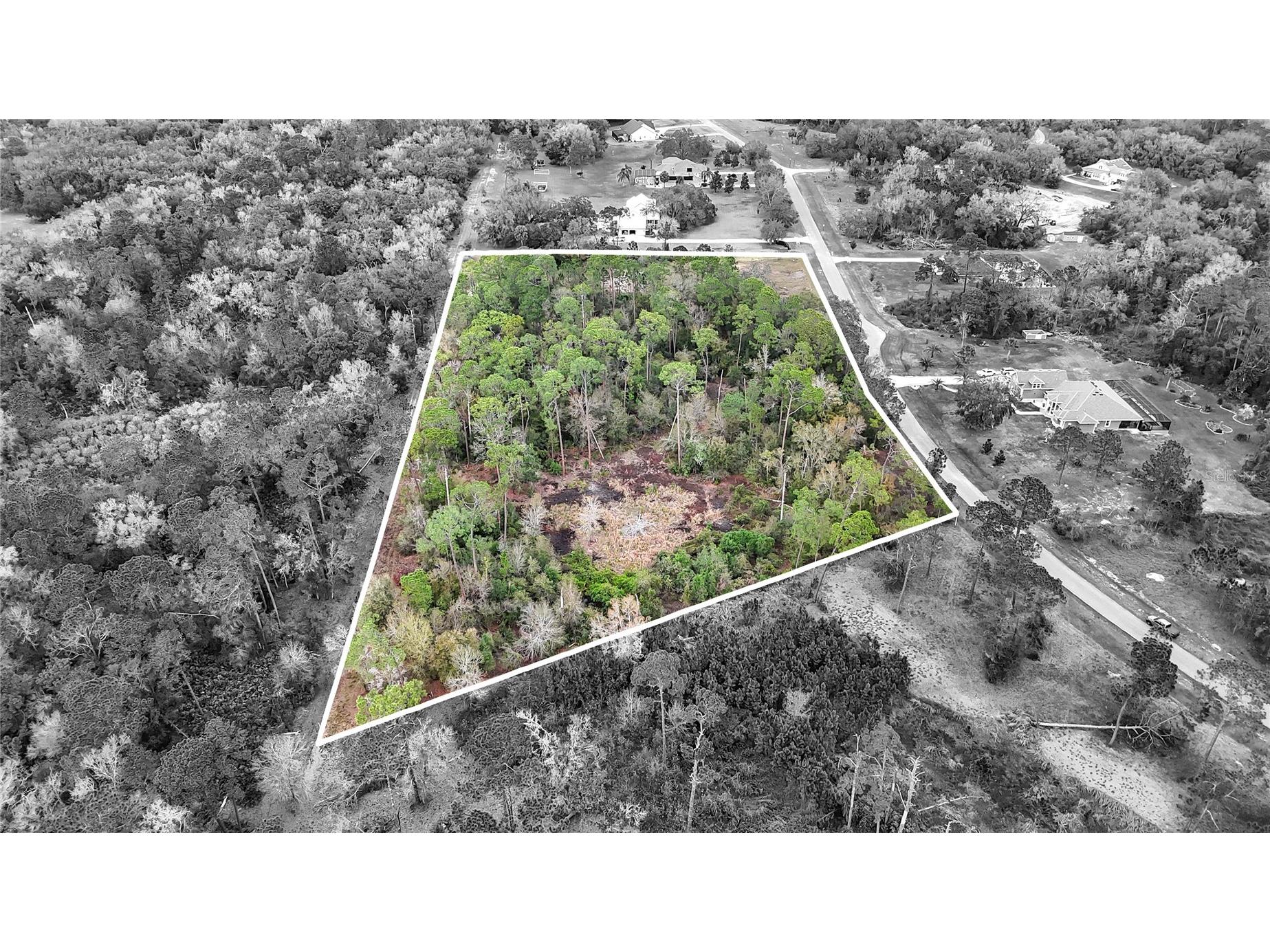 27037 Grand Oak Lane Tavares FL 32778 - LAKE HARRIS OM695670 image7