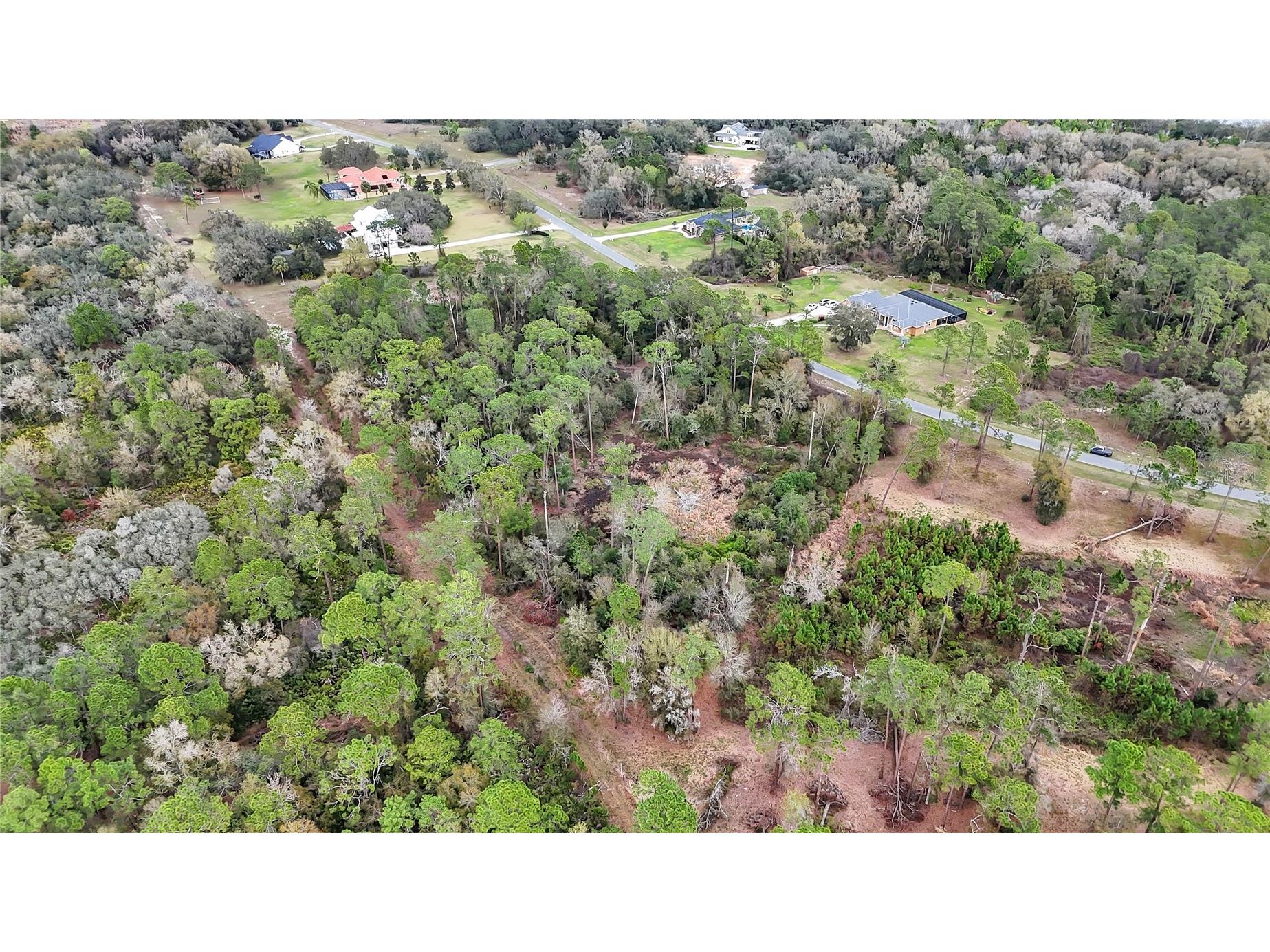 27037 Grand Oak Lane Tavares FL 32778 - LAKE HARRIS OM695670 image8