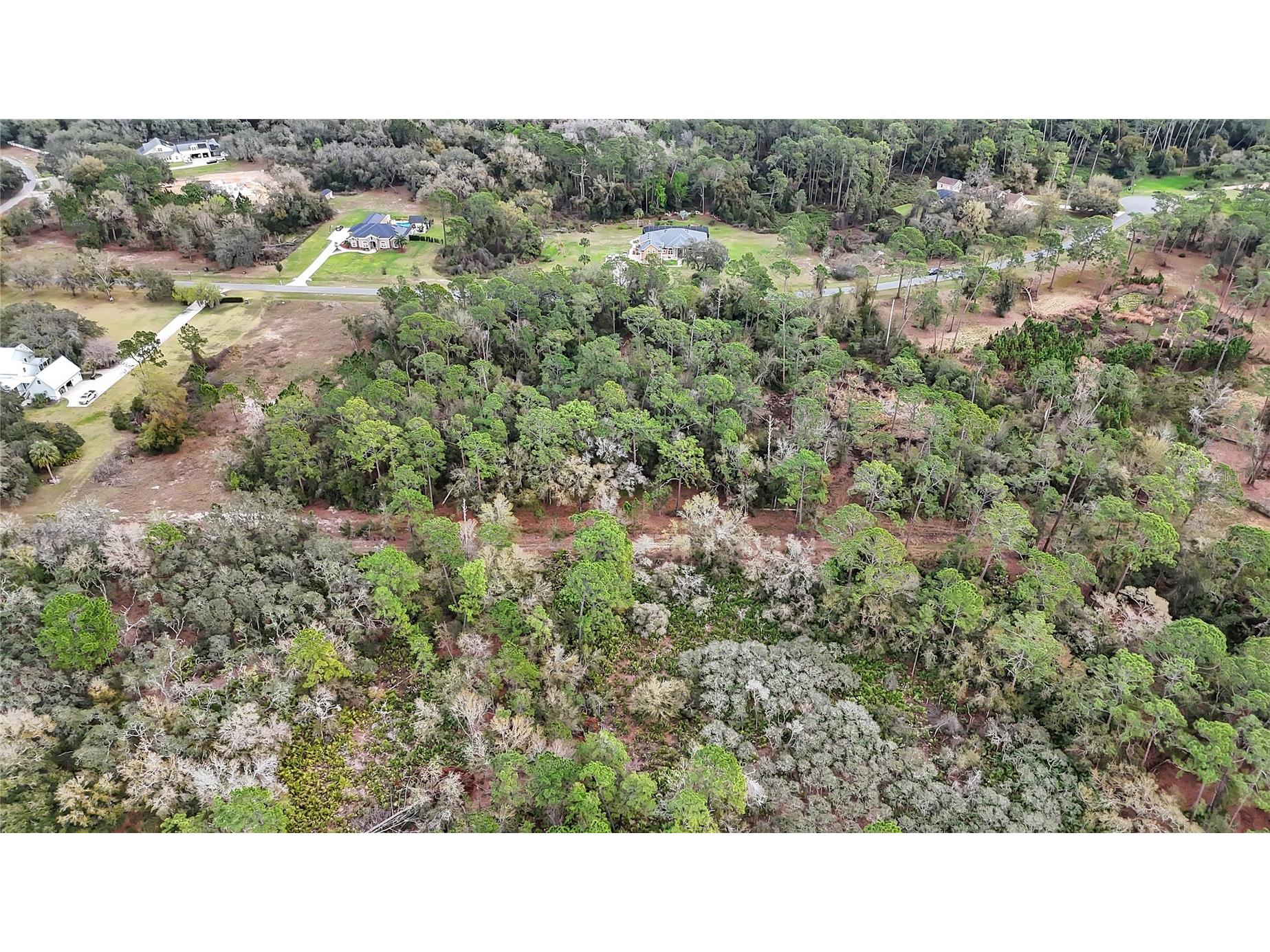 27037 Grand Oak Lane Tavares FL 32778 - LAKE HARRIS OM695670 image9