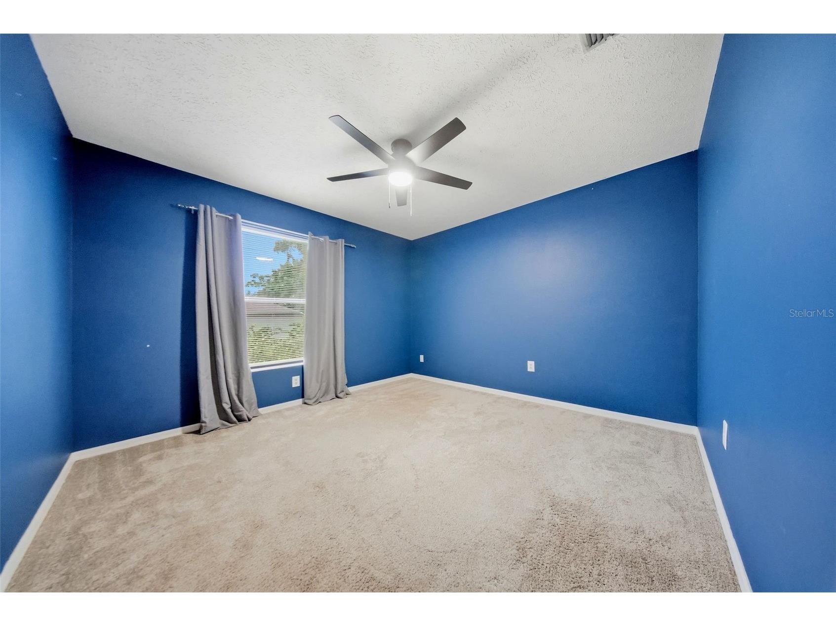 2704 Buckhorn Oaks Drive Valrico FL 33594 TB8529180 image32