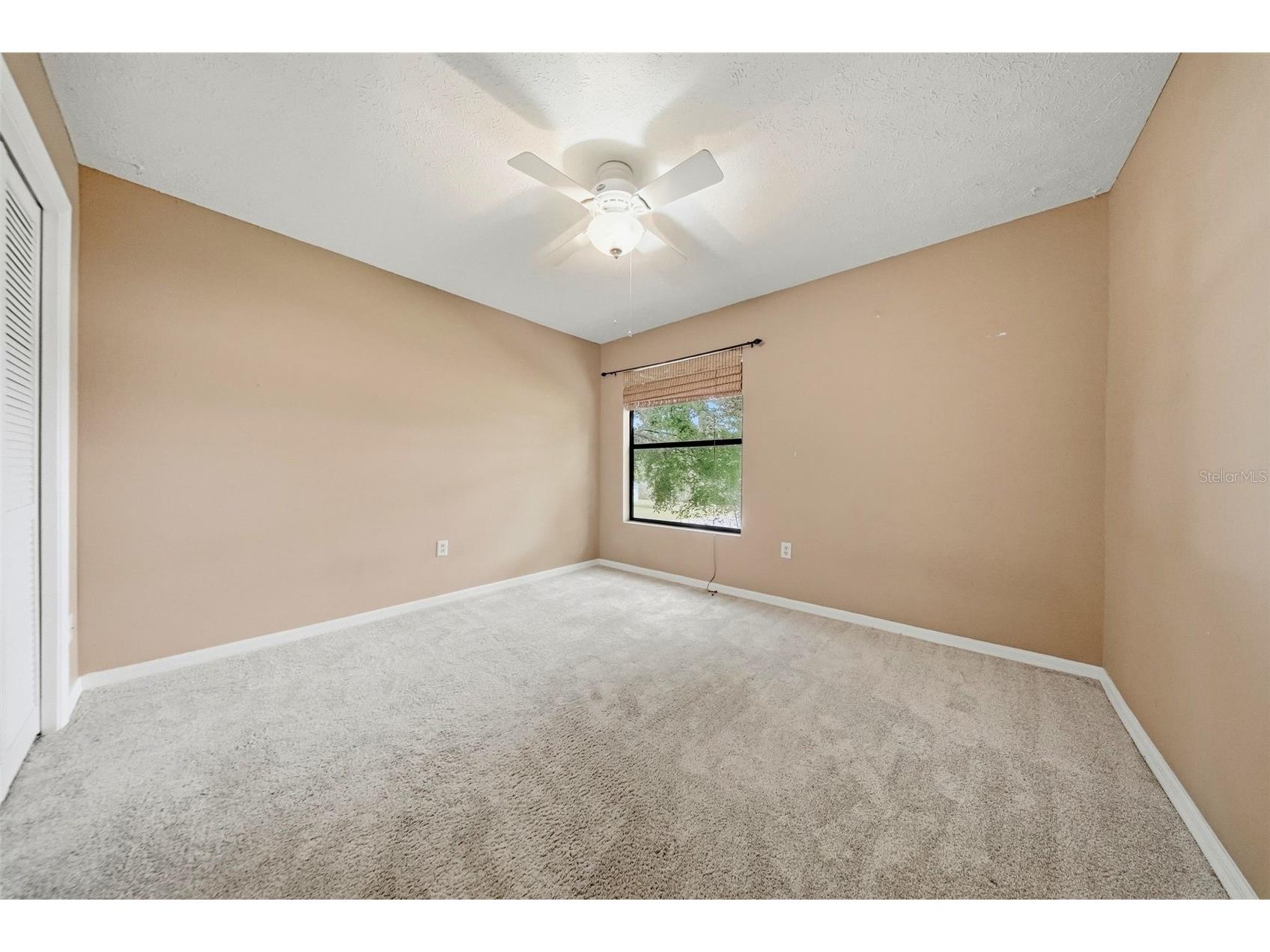 2704 Buckhorn Oaks Drive Valrico FL 33594 TB8529180 image34