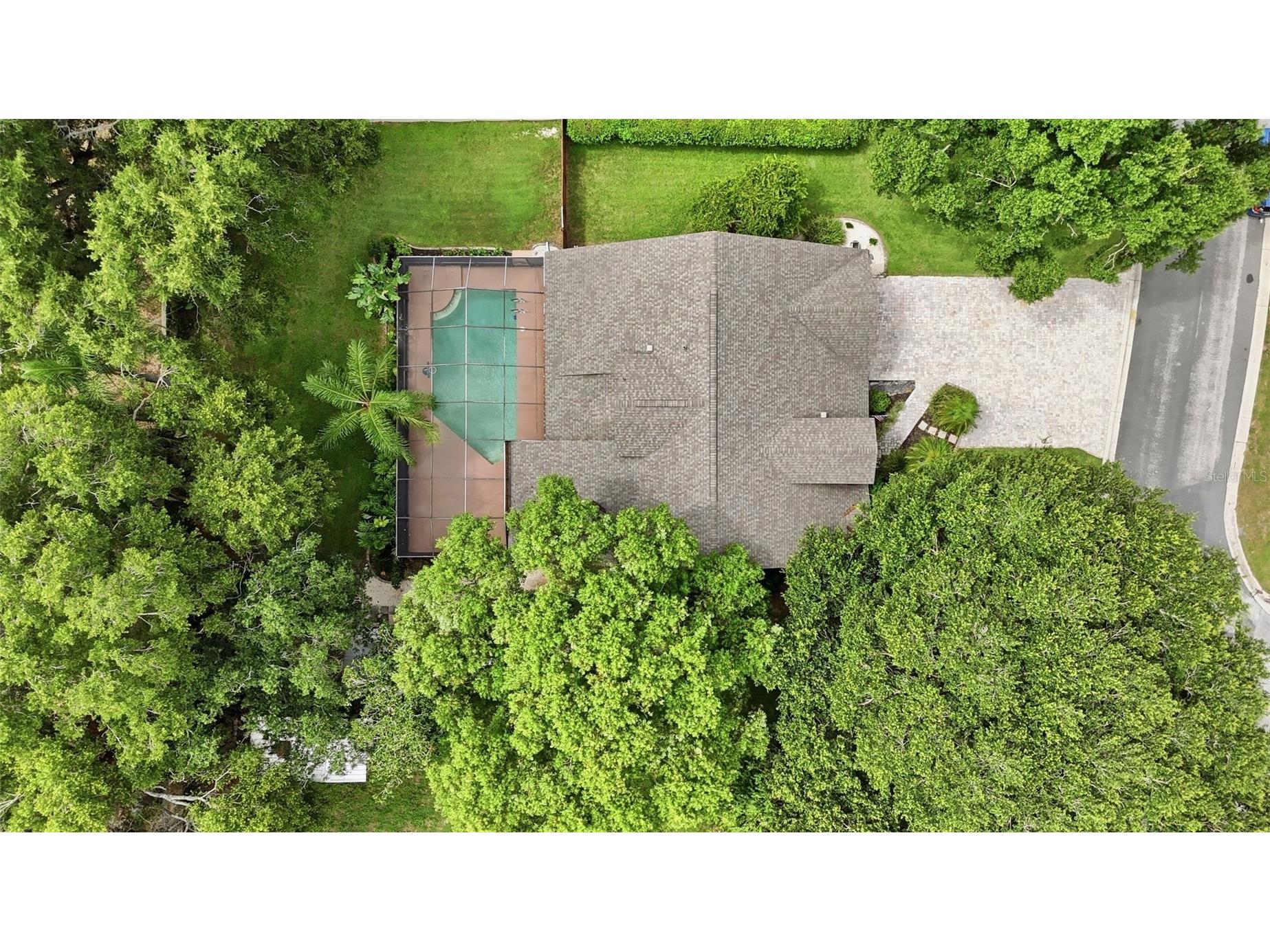 2704 Buckhorn Oaks Drive Valrico FL 33594 TB8529180 image54