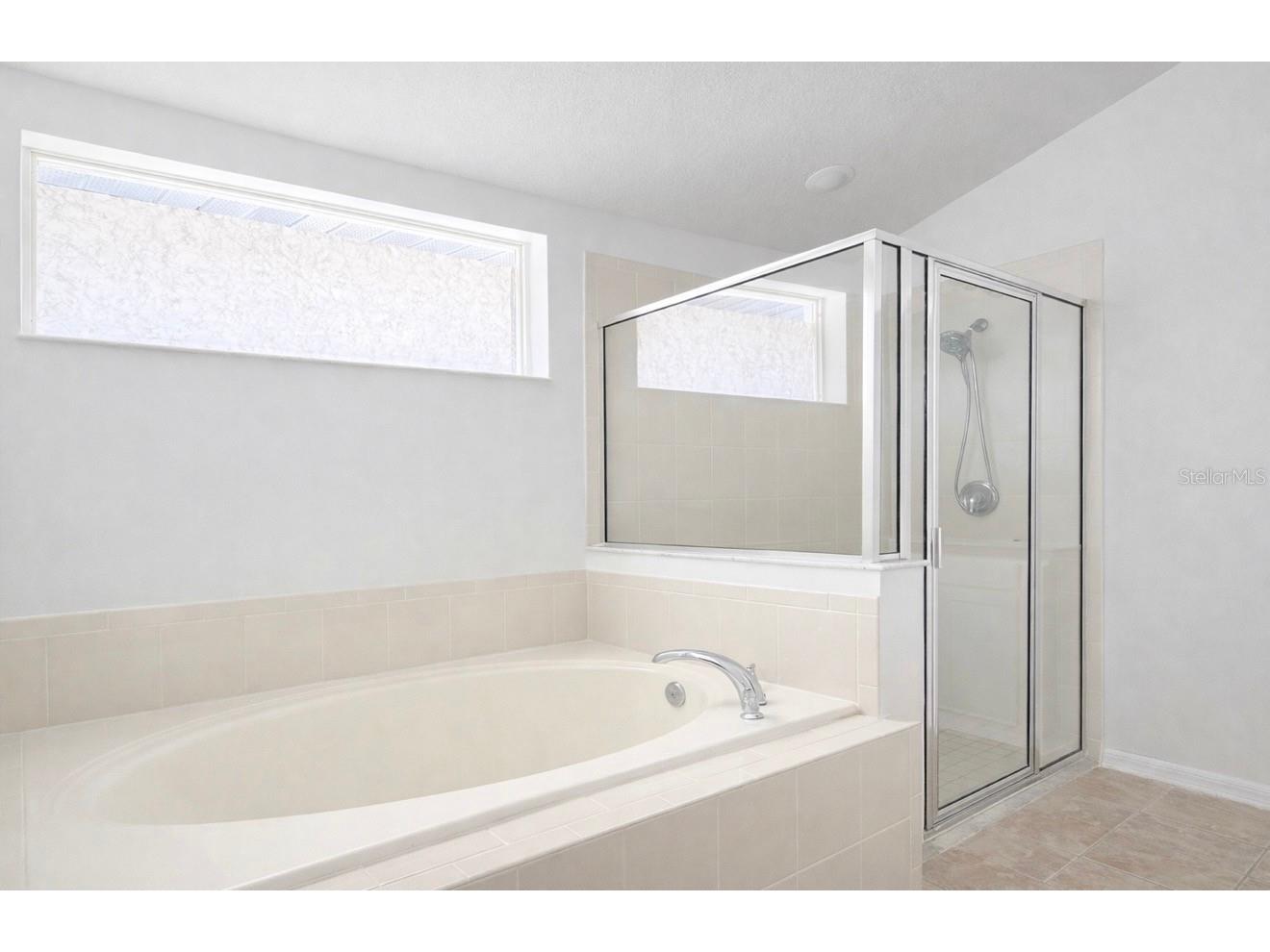 2704 Lucas Lakes Lane Kissimmee FL 34744 S5145763 image11