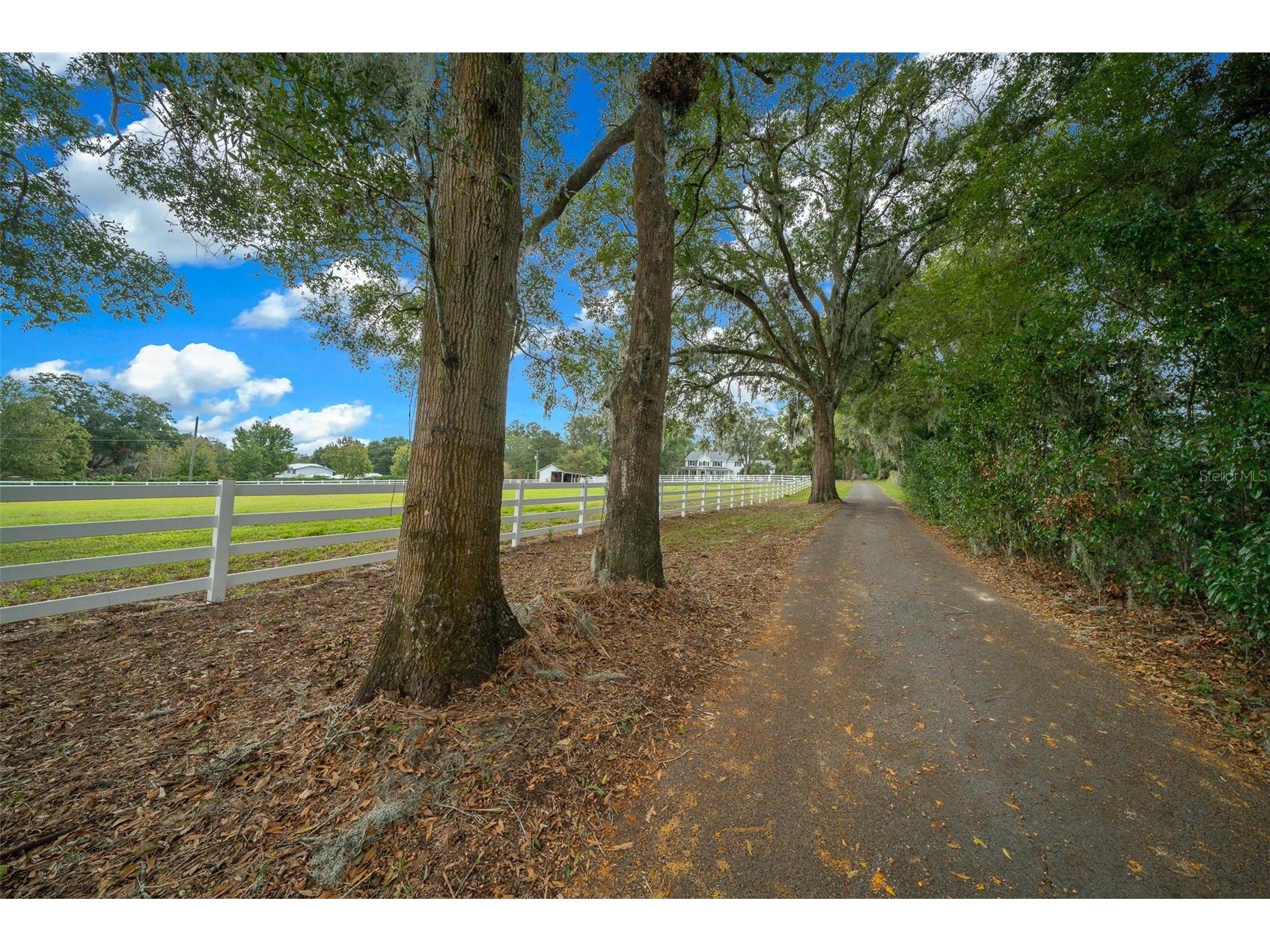 2704 SE 31st Street Ocala FL 34471 OM707112 image82