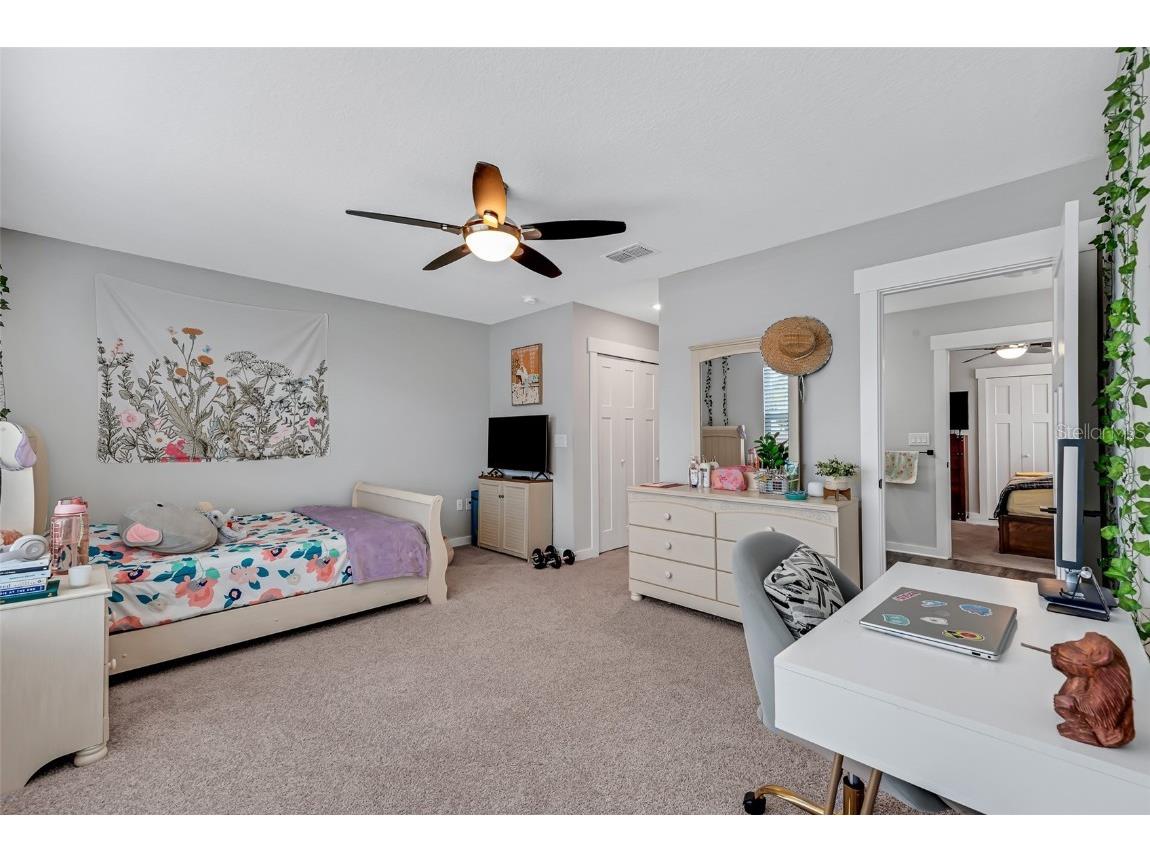 2704 W Gray Street #B Tampa FL 33609 TB8434085 image23