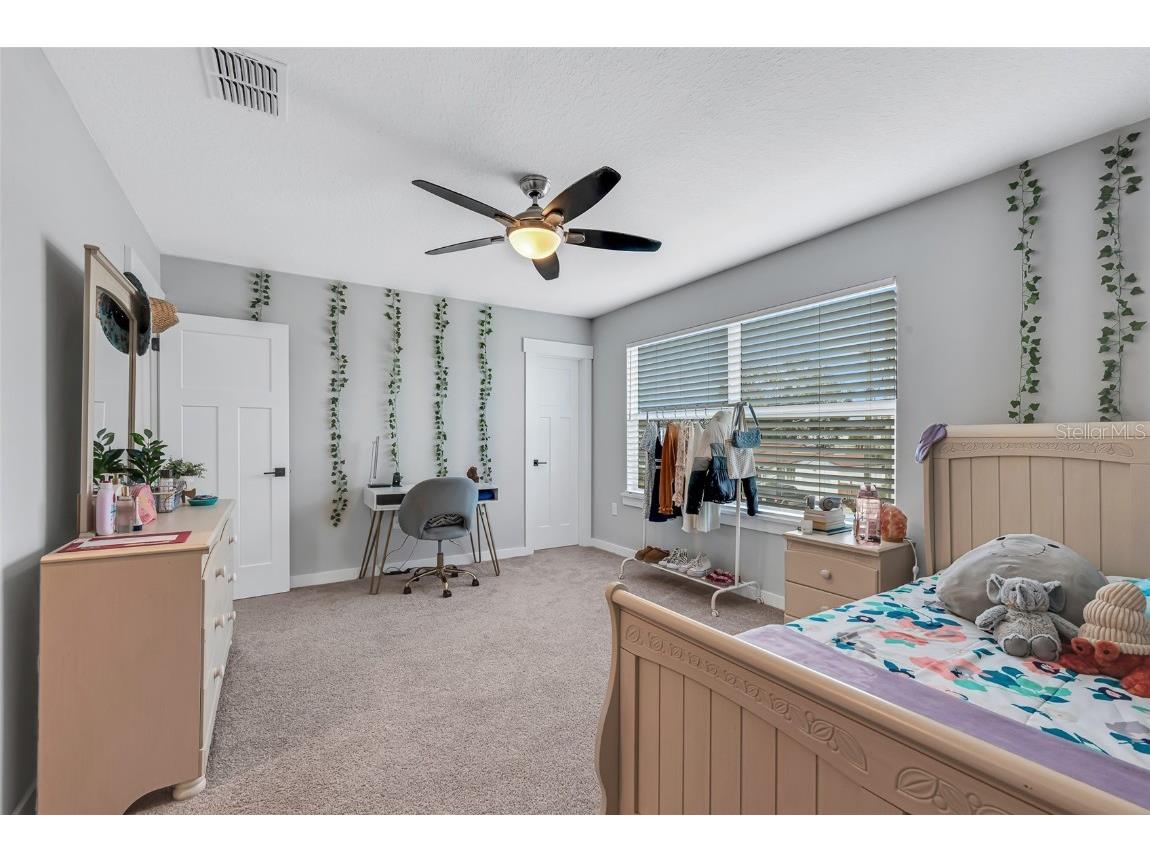 2704 W Gray Street #B Tampa FL 33609 TB8434085 image24