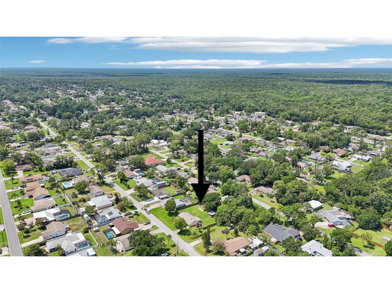 2704 Yule Tree Drive Edgewater FL 32141 O6312767 image46