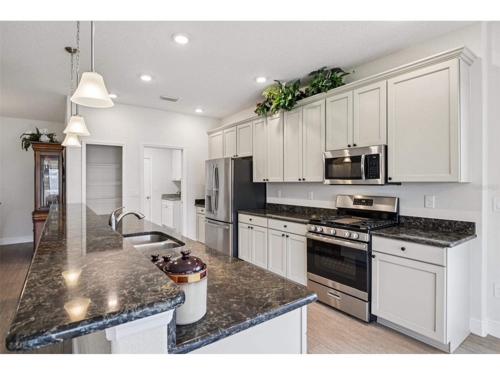27040 Camerons Run Leesburg FL 34748 G5106477 image10