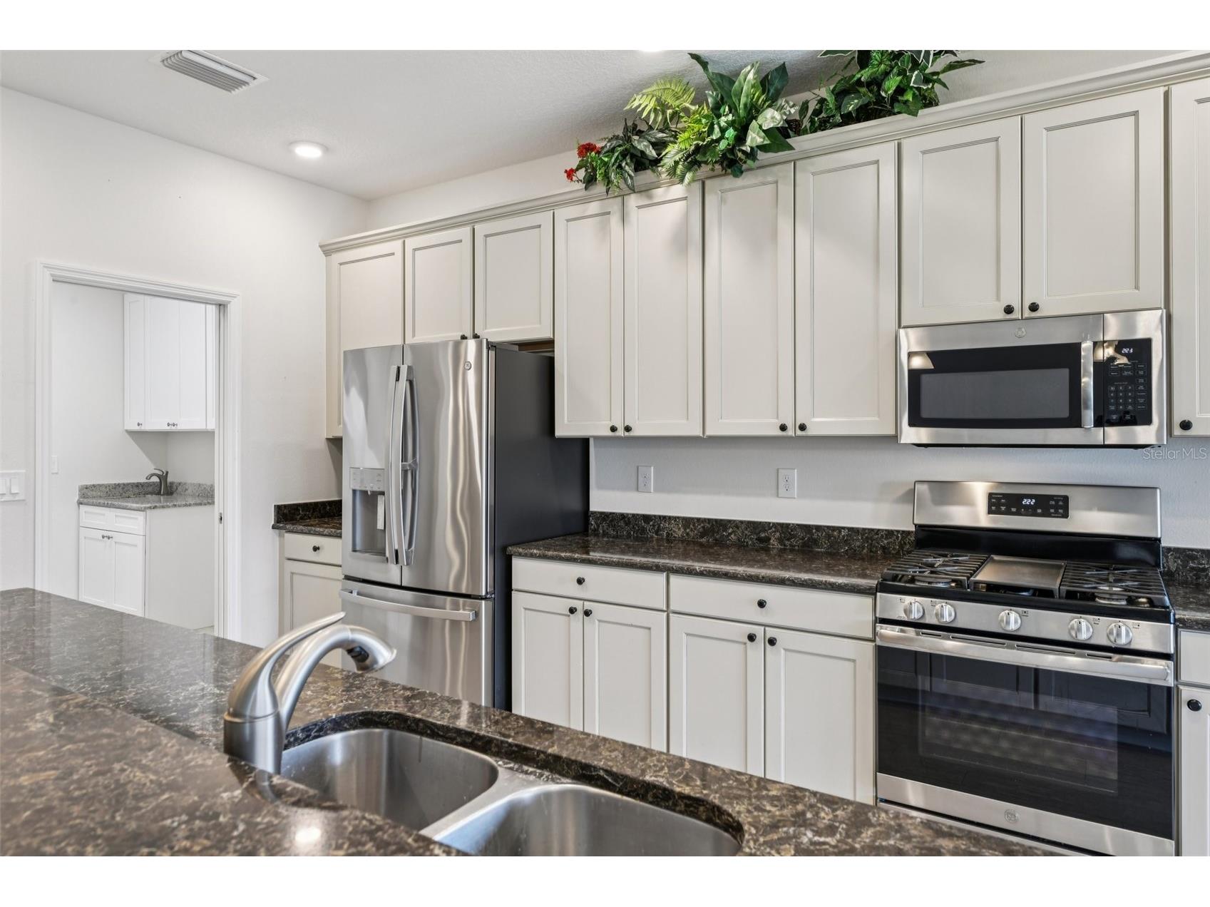 27040 Camerons Run Leesburg FL 34748 G5106477 image11