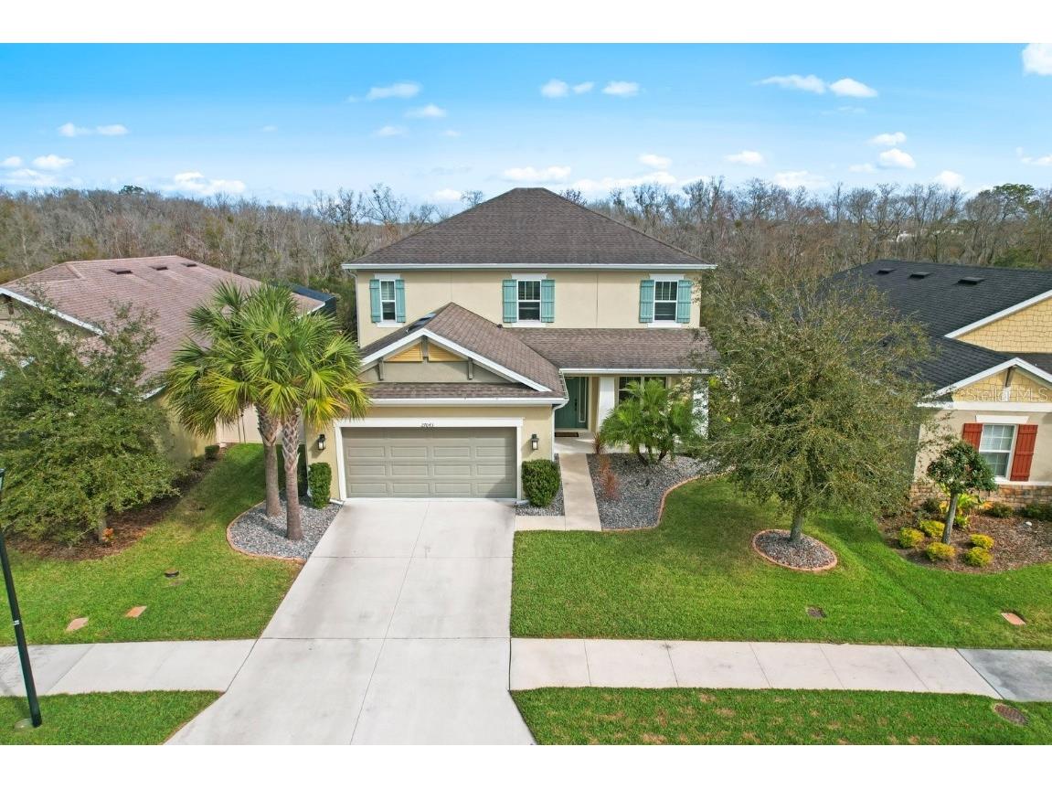27043 Carolina Aster Drive Wesley Chapel FL 33544 T3425314 image1