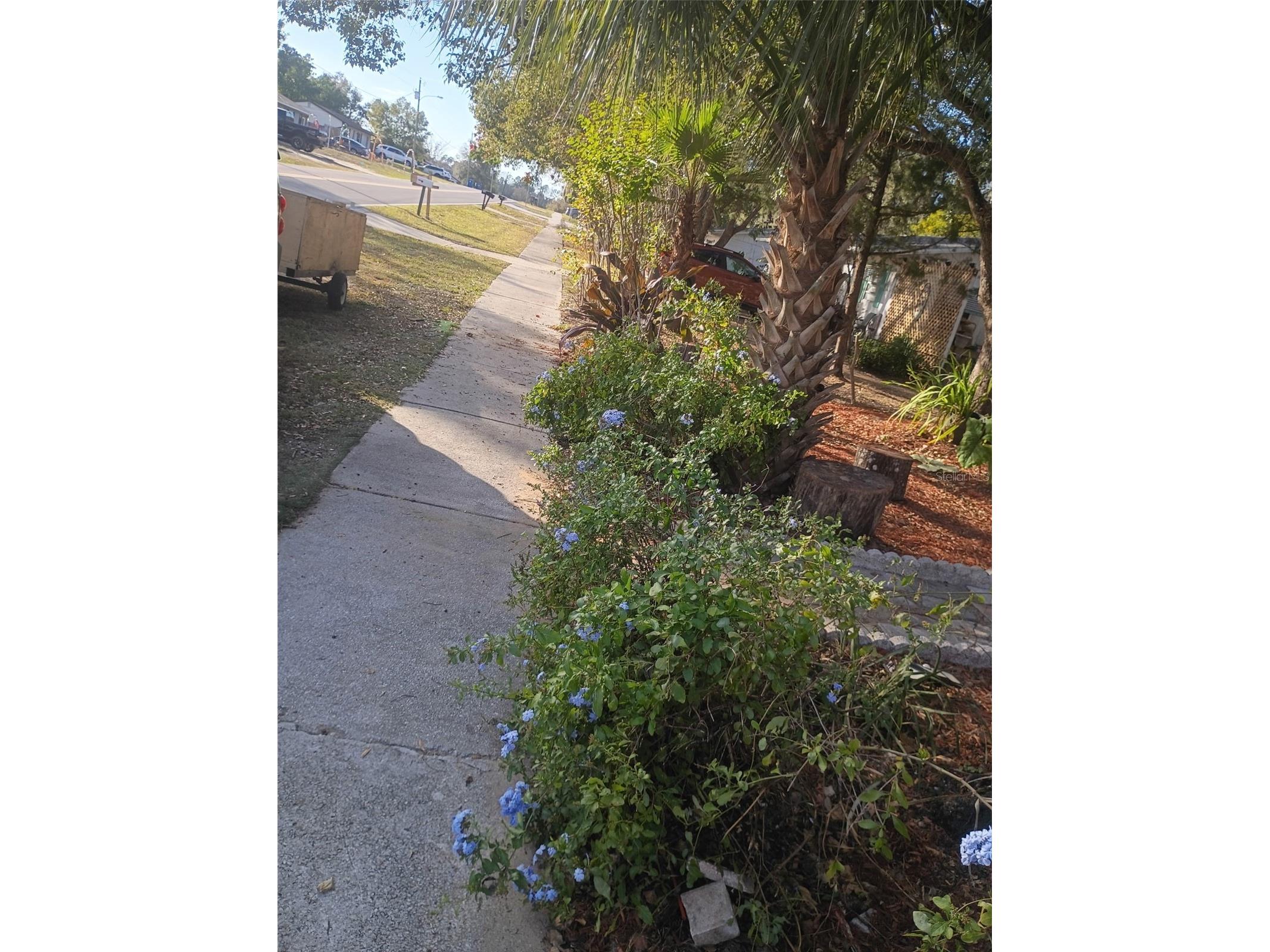 27043 Roper Road Brooksville FL 34602 TB8475404 image7