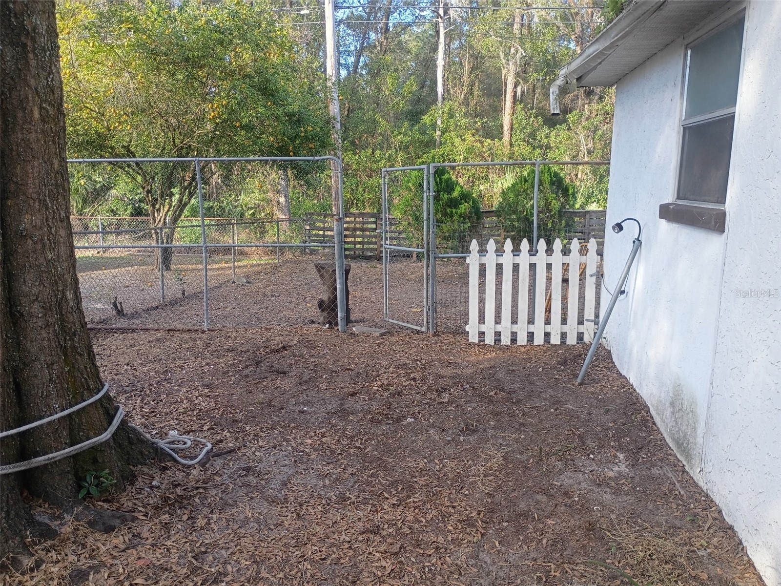 27043 Roper Road Brooksville FL 34602 TB8475404 image8