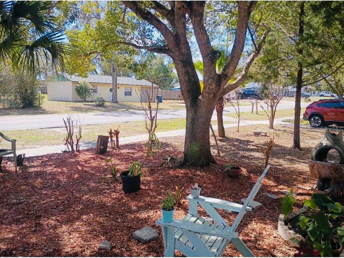 27043 Roper Road Brooksville FL 34602 TB8475404 image9
