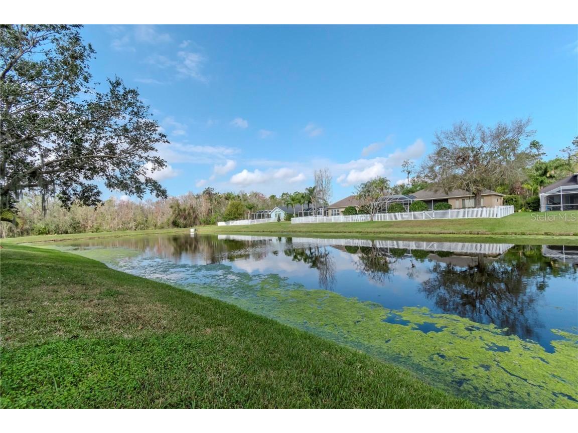 27045 Firebush Drive Wesley Chapel FL 33544 TB8347483 image1