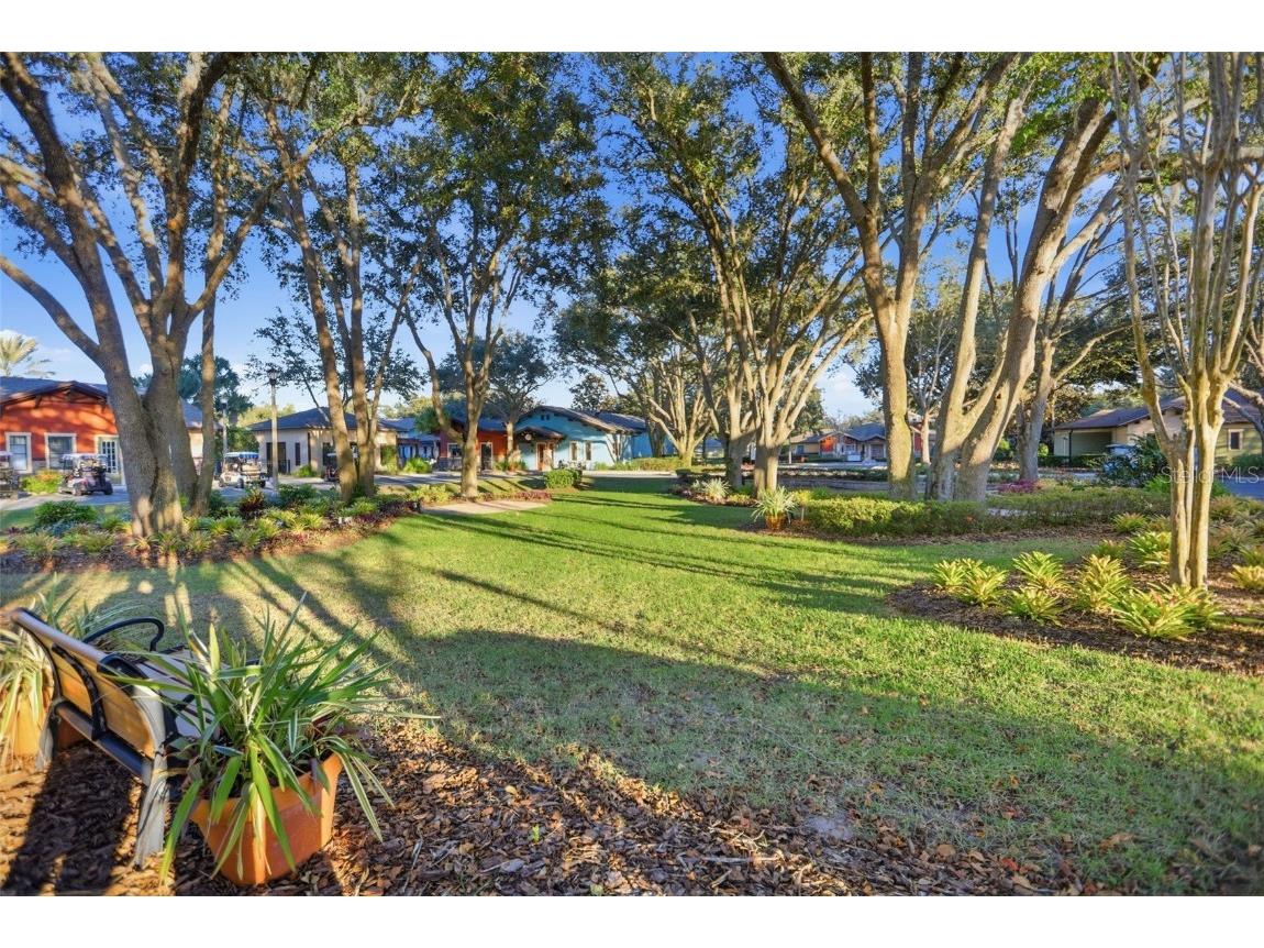 27046 Roanoke Drive Leesburg FL 34748 O6360137 image51