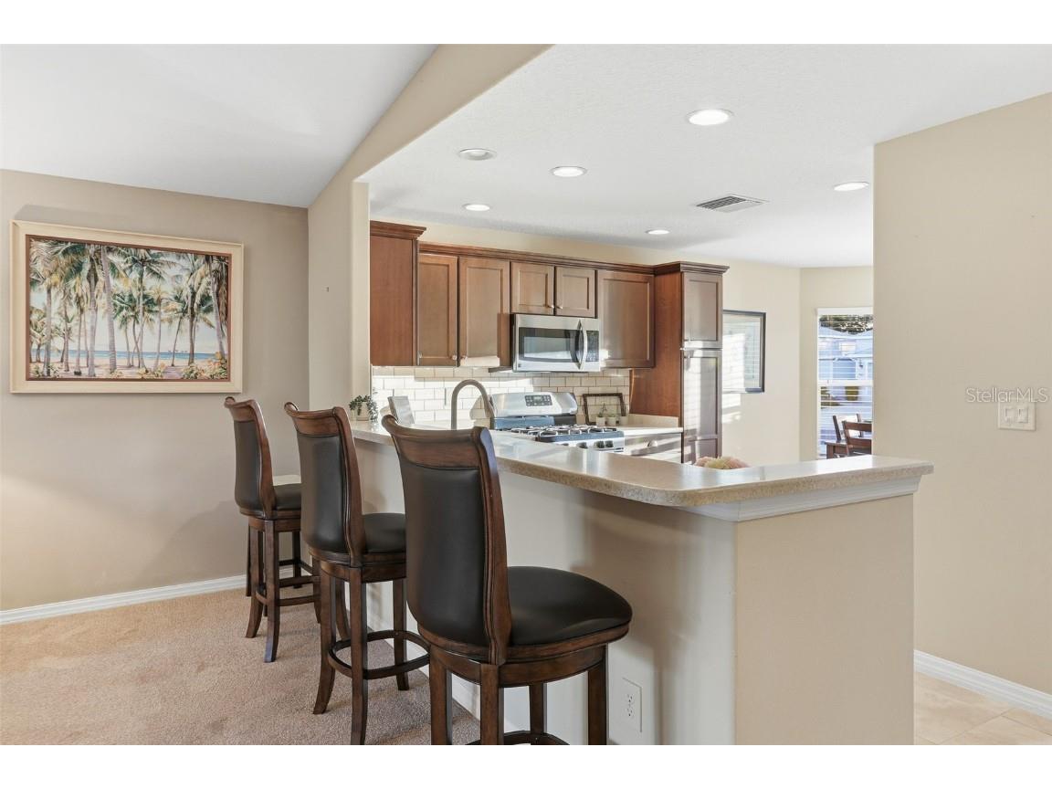 27046 Roanoke Drive Leesburg FL 34748 O6360137 image8