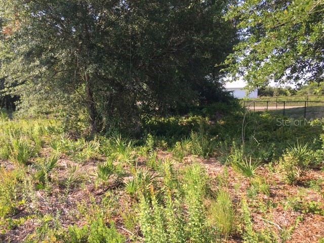 2705 59th Street W Lehigh Acres FL 33971 TB8383053 image7