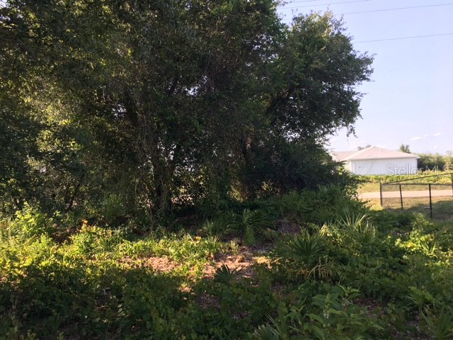 2705 59th Street W Lehigh Acres FL 33971 TB8383053 image8