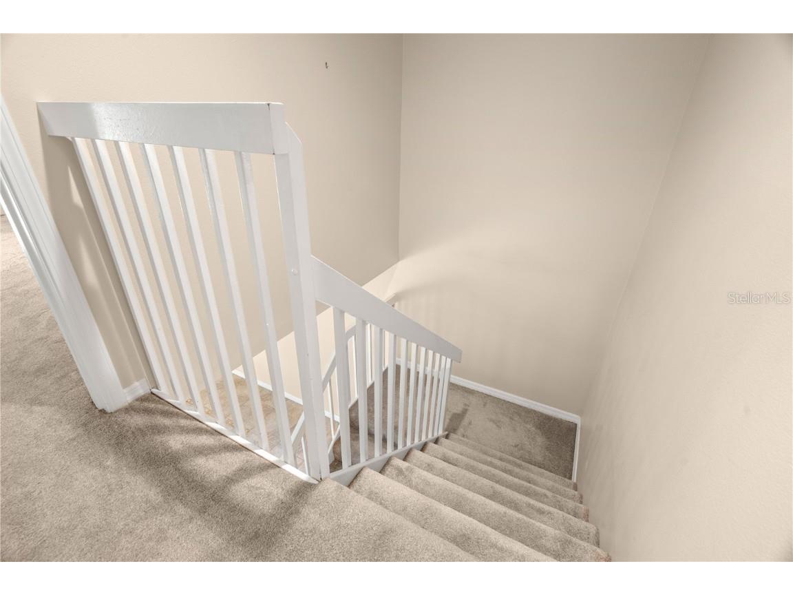 2705 5th Court Palm Harbor FL 34684 TB8454393 image16