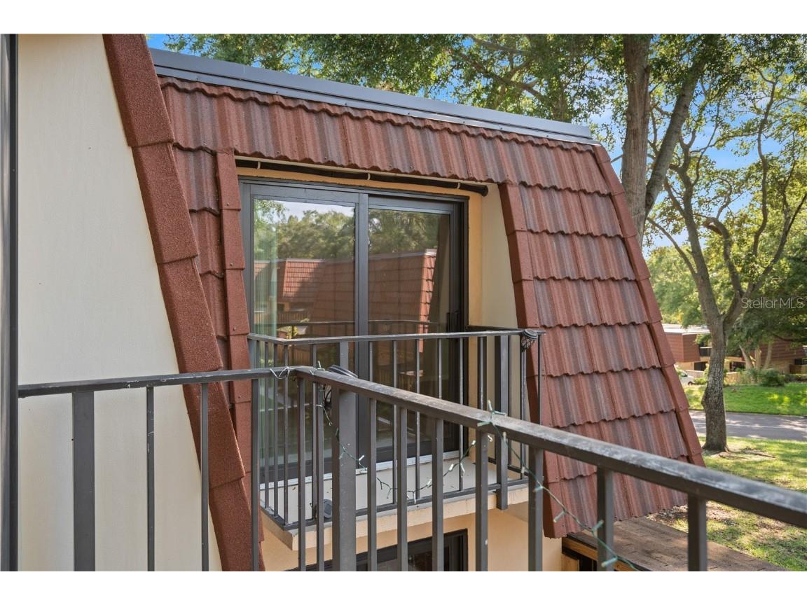 2705 5th Court Palm Harbor FL 34684 TB8454393 image6