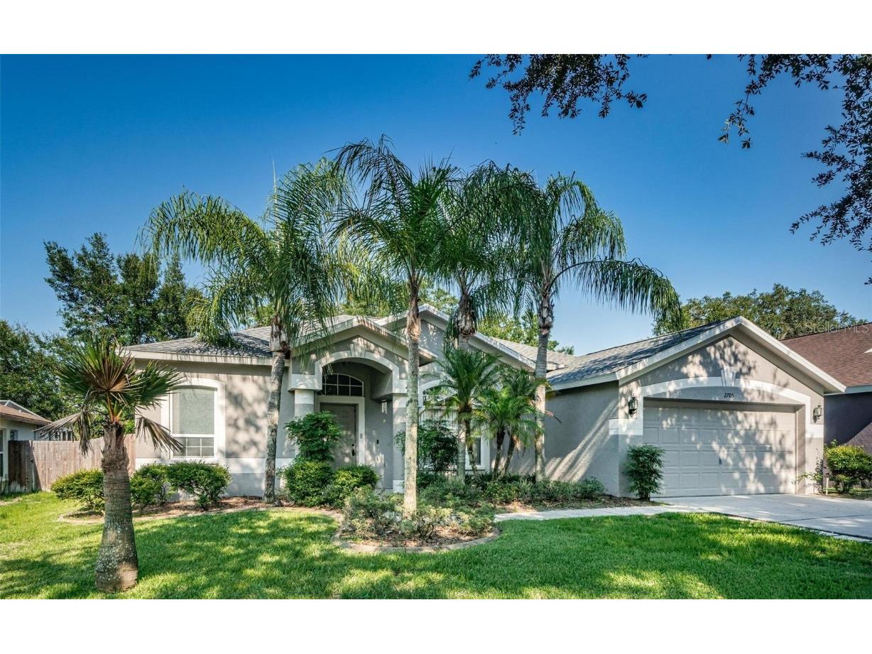 2705 Brookville Drive Valrico FL 33596 T3455724 image1