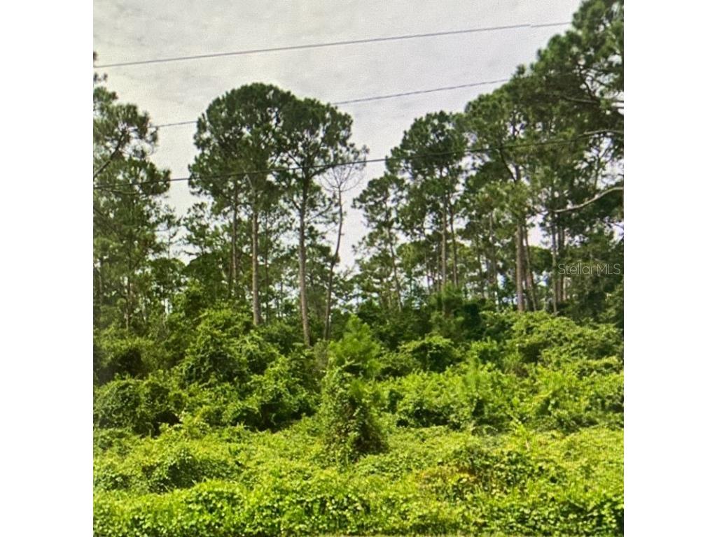 2705 Captain Drive Deltona FL 32738 O6232214 image1