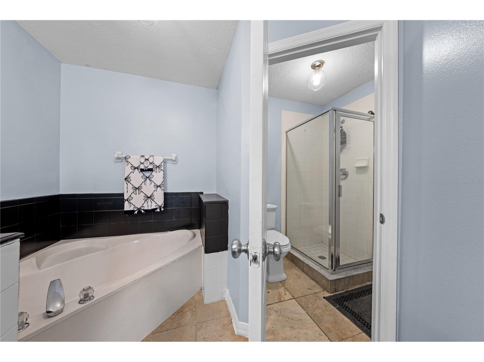 2705 Emerald Lake Ct #2705 Kissimmee FL 34744 - Fish Lake S5153755 image33