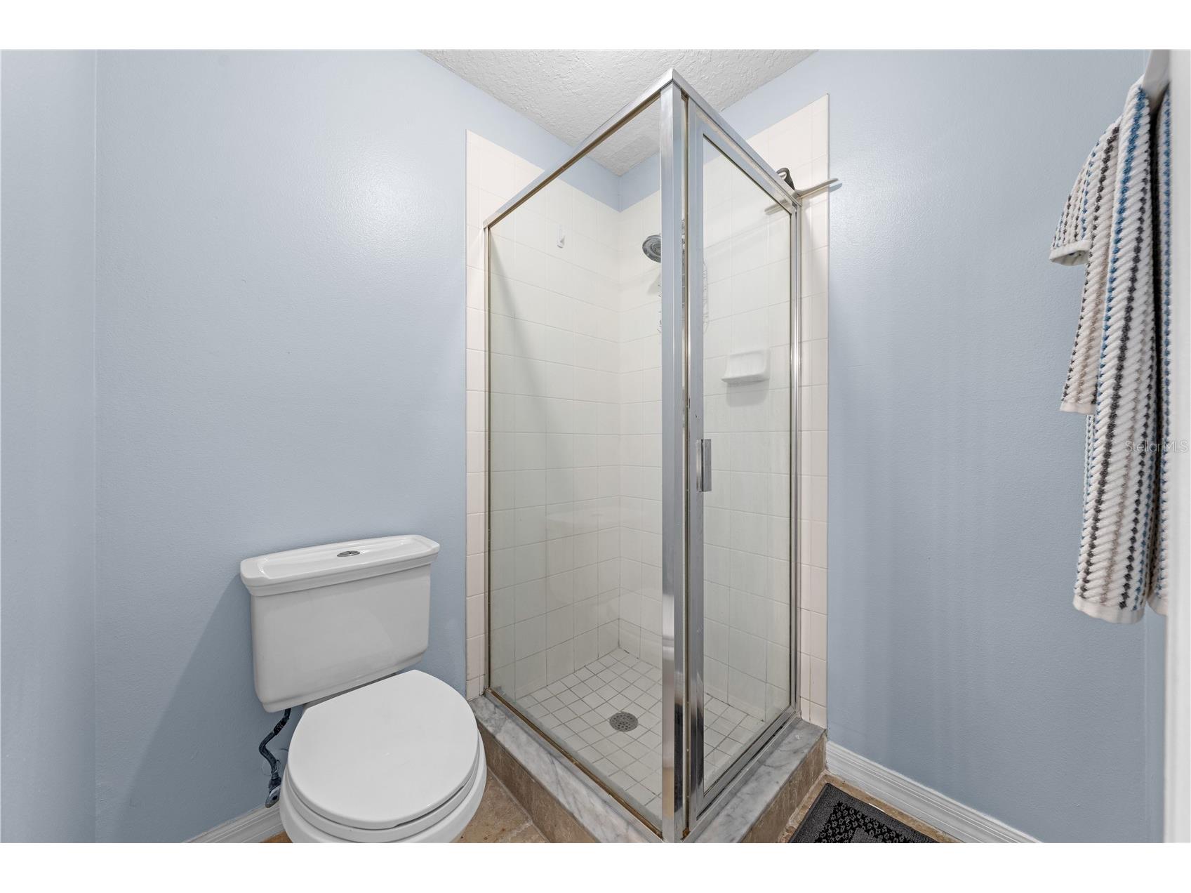 2705 Emerald Lake Ct #2705 Kissimmee FL 34744 - Fish Lake S5153755 image35