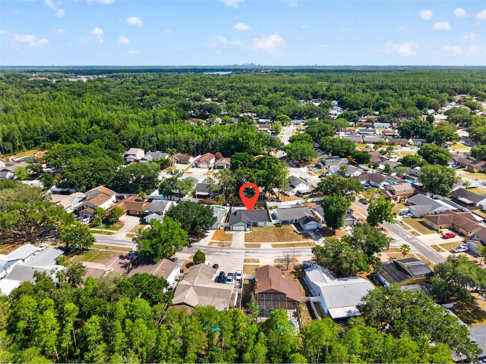 2705 Lakeville Drive Tampa FL 33618 TB8503932 image29