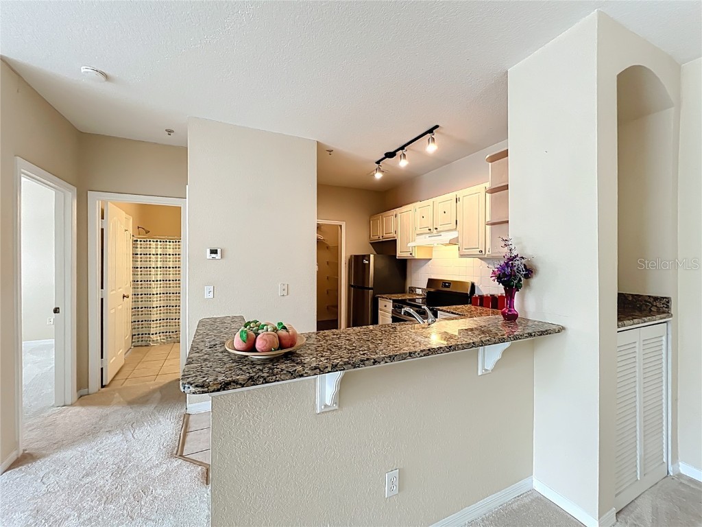 2705 Maitland Crossing Way #205 Orlando FL 32810 O6338623 image15