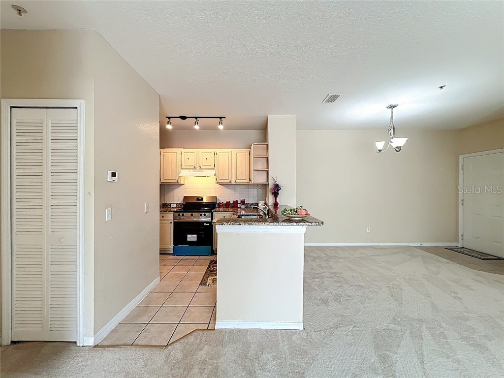 2705 Maitland Crossing Way #205 Orlando FL 32810 O6338623 image16