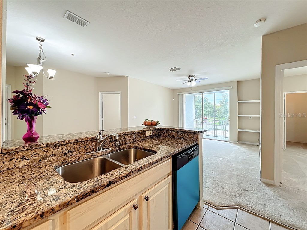 2705 Maitland Crossing Way #205 Orlando FL 32810 O6338623 image20