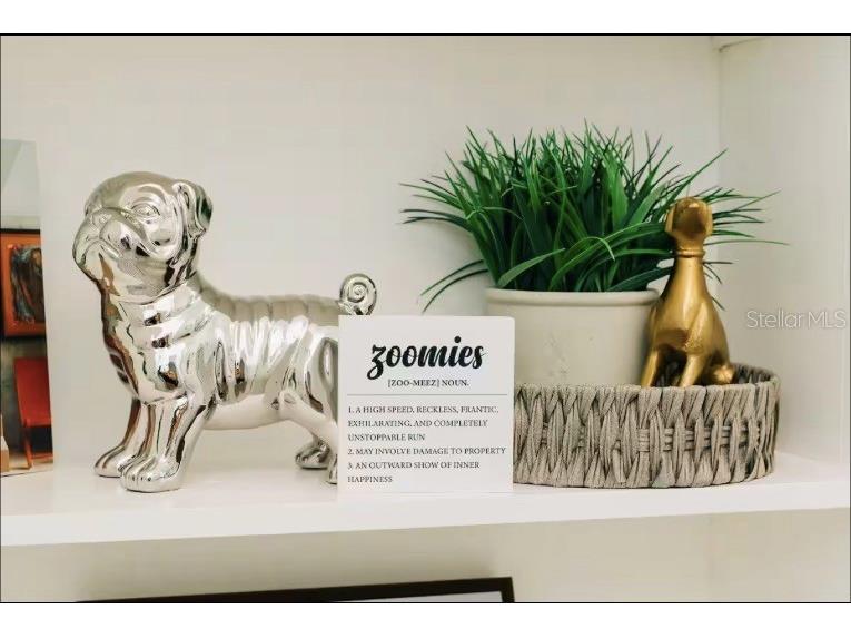 2705 N Oakdale Avenue Tampa FL 33602 TB8454795 image15