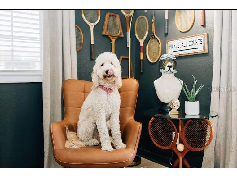 2705 N Oakdale Avenue Tampa FL 33602 TB8454795 image23