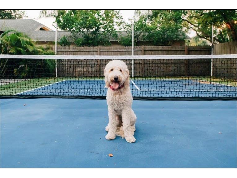 2705 N Oakdale Avenue Tampa FL 33602 TB8454795 image36