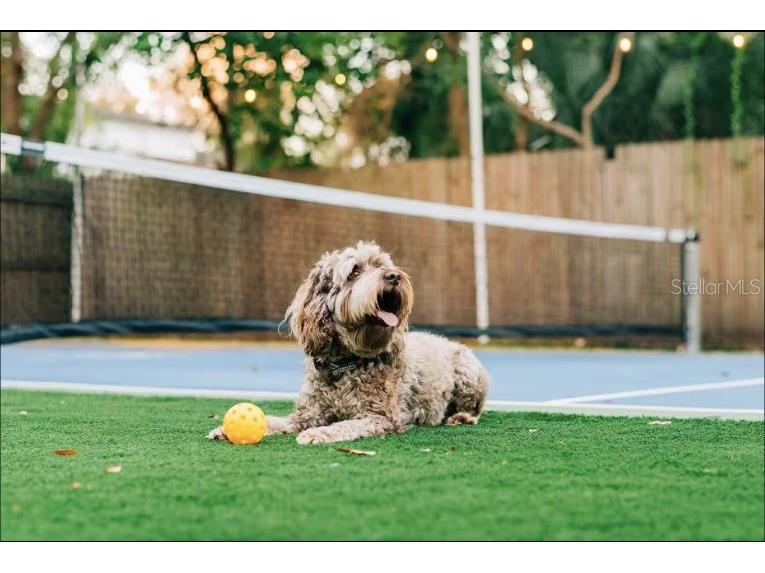 2705 N Oakdale Avenue Tampa FL 33602 TB8454795 image37